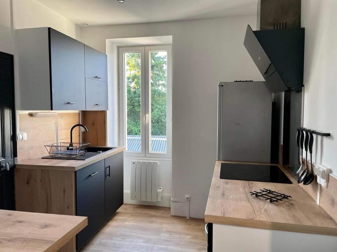 Les Rives Du Chateau Châteauroux Eksteriør billede